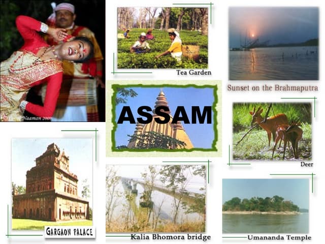 MBBS Colleges in ASSAM