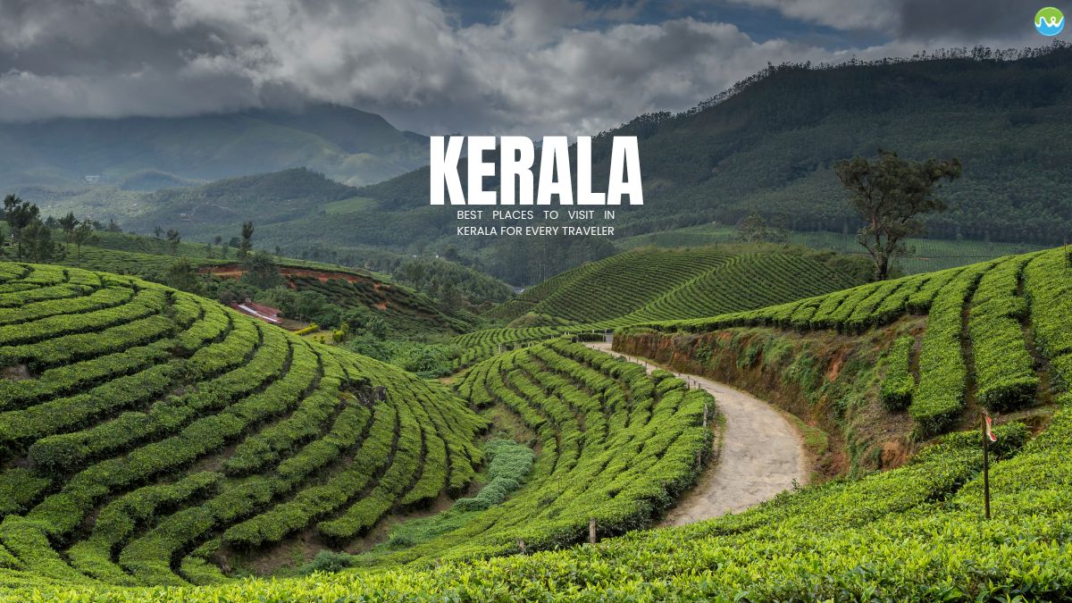 MBBS Colleges in KERALA