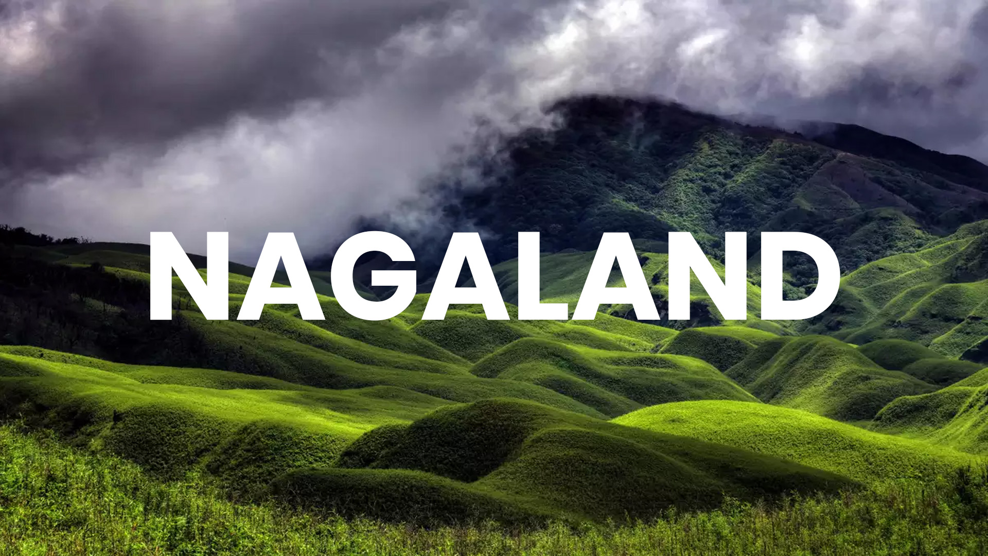 MBBS Colleges in Nagaland